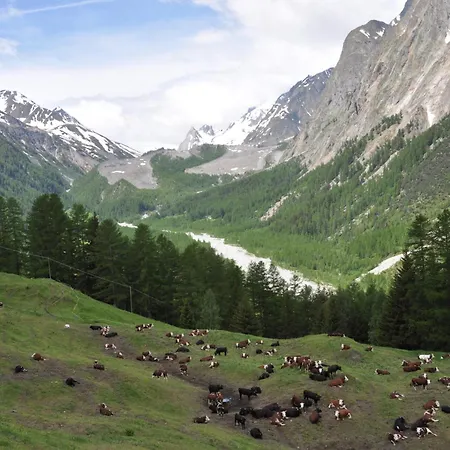 Apartment Aux Pieds Du Mont-blanc Mansarda *